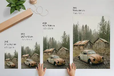 Poster para cozinha com estampa de carro enferrujado em barracão de madeira na floresta verde