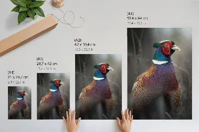 Impressão em tela penas de faisão em cores intensas com tema de paz
