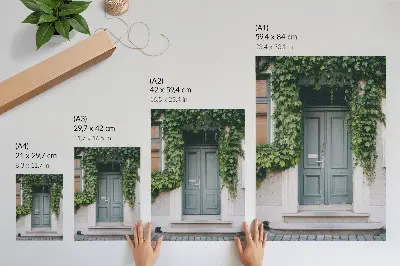 Poster decorativo trepadeiras verdes com portas cinzentas em composição harmoniosa
