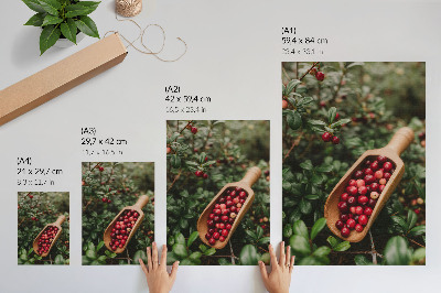 Poster decorativo Cores vibrantes de folhas e frutos em uma pá de madeira.
