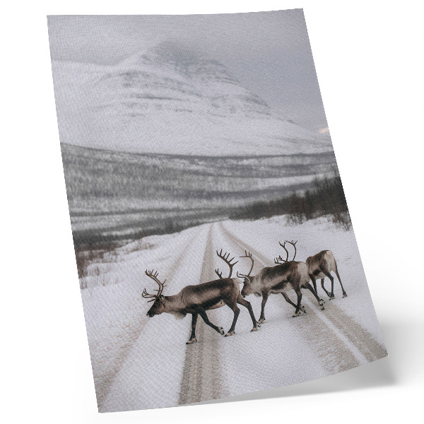 Arte de parede Renas em uma estrada nevada entre as montanhas, cenário de inverno.