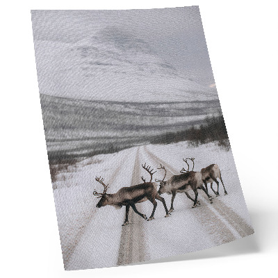 Arte de parede Renas em uma estrada nevada entre as montanhas, cenário de inverno.