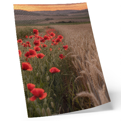 Poster decorativo Harmonia de cores da natureza com papoulas ao pôr do sol