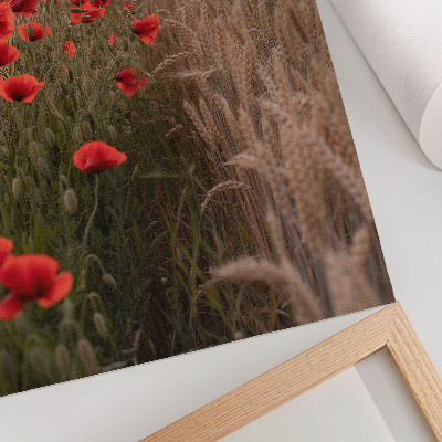 Poster decorativo Harmonia de cores da natureza com papoulas ao pôr do sol