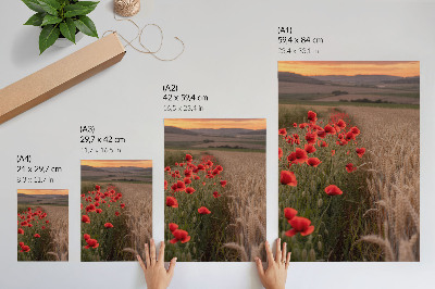 Poster decorativo Harmonia de cores da natureza com papoulas ao pôr do sol