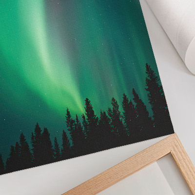 Poster decorativo Aurora, árvores verdes, noite, natureza mágica