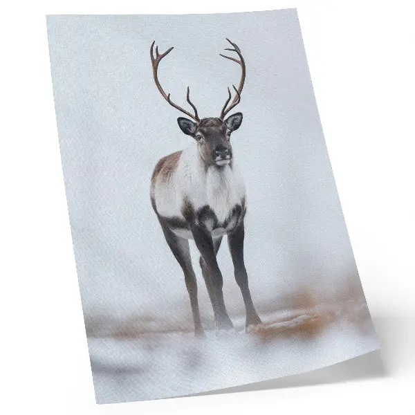 Poster decorativo cenário de renas em paisagem de inverno com tons quentes em estilo moderno