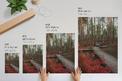 Poster para cozinha caminho de madeira em floresta com árvores em tons de outono