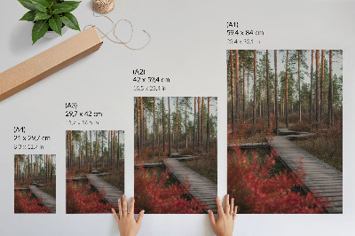 Poster para cozinha Caminho de madeira, floresta, árvores, cores de outono