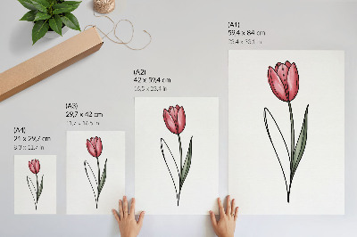Poster para cozinha Tulipa rosa, contorno simples e leveza