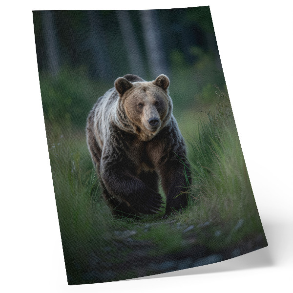 Impressão em tela Um urso orgulhoso em um cenário florestal.