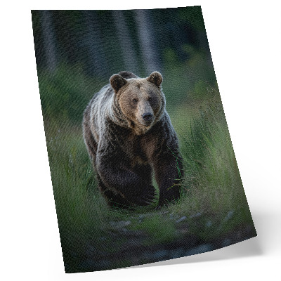 Impressão em tela Um urso orgulhoso em um cenário florestal.