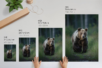 Impressão em tela Um urso orgulhoso em um cenário florestal.