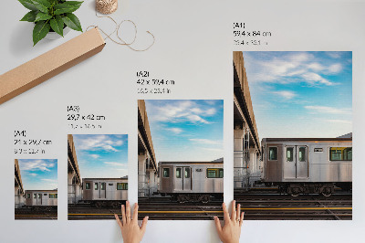 Poster para cozinha Trem moderno ponte céu azul gato