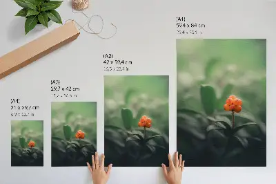 Arte de parede frutos vermelhos alaranjados sobre fundo verde