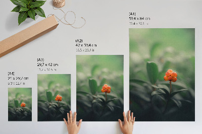 Arte de parede Frutos vermelhos alaranjados sobre um fundo verde