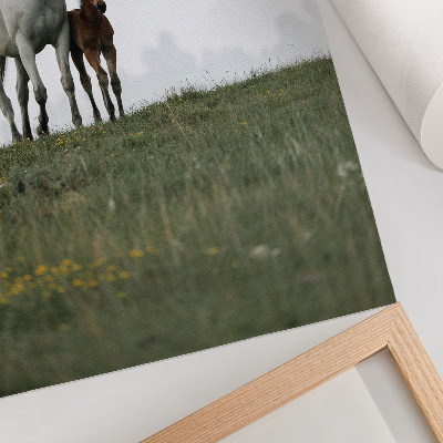Poster para cozinha A beleza da natureza com a visão reconfortante dos cavalos.