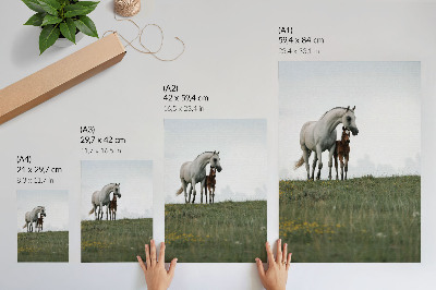 Poster para cozinha A beleza da natureza com a visão reconfortante dos cavalos.