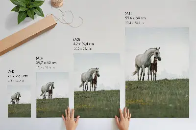 Poster para cozinha com a beleza da natureza e cavalos em uma visão reconfortante