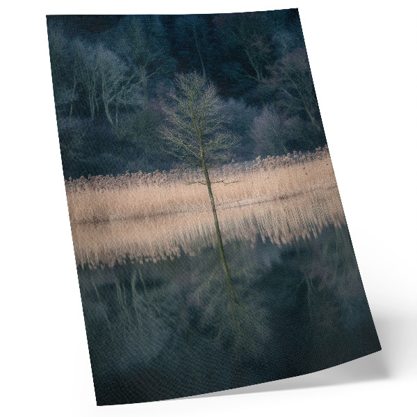 Arte de parede reflexo de uma única árvore na neblina do lago