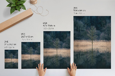 Arte de parede reflexo de uma única árvore na neblina do lago