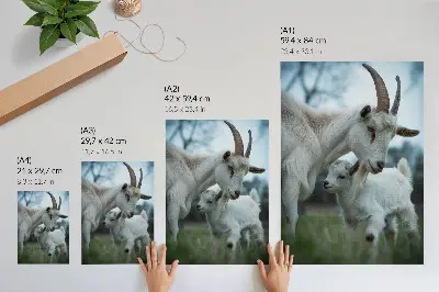 Impressão em tela cabras em meio à natureza com temática de paz e harmonia