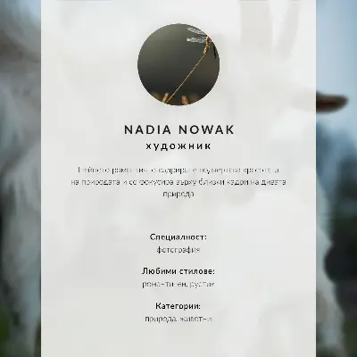 Impressão em tela cabras em meio à natureza com temática de paz e harmonia