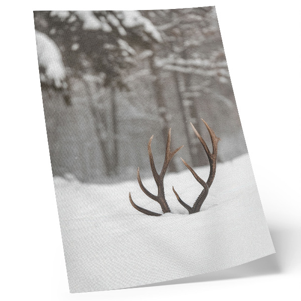 Poster para cozinha Paisagem de inverno com chifres na neve.