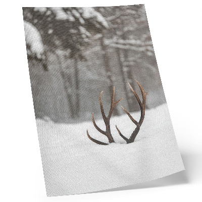 Poster para cozinha Paisagem de inverno com chifres na neve.