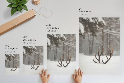 Poster para cozinha Paisagem de inverno com chifres na neve.
