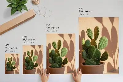 Impressão em tela cacto em vaso com sombras e cores delicadas