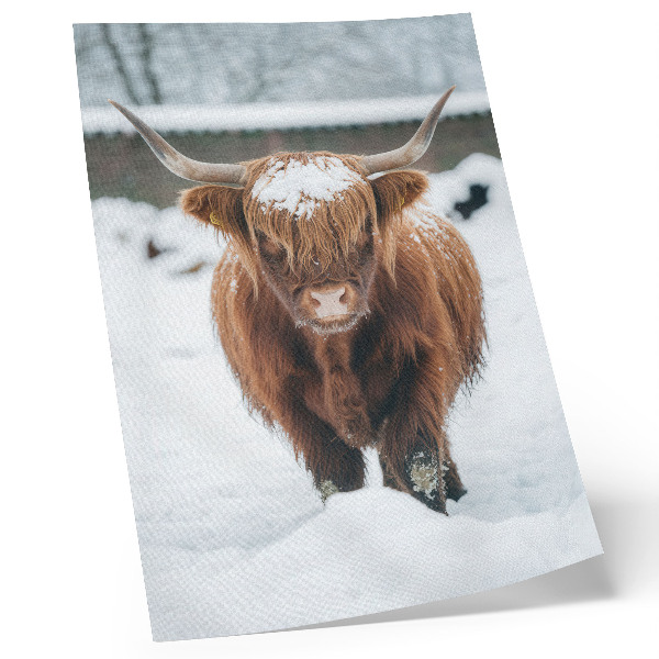 Arte de parede Gado na neve: o contraste entre o animal e a natureza.