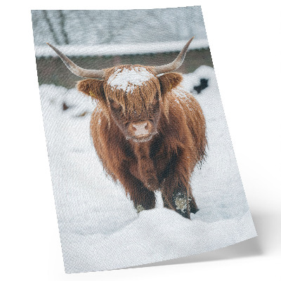 Arte de parede Gado na neve: o contraste entre o animal e a natureza.