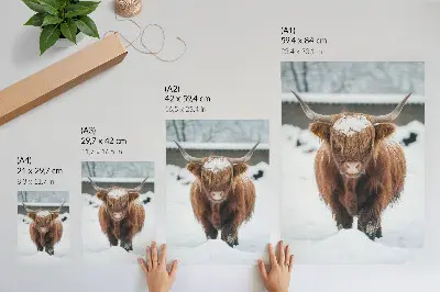 Arte de parede gado na neve com contraste entre o animal e a natureza