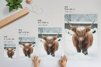 Arte de parede Gado na neve: o contraste entre o animal e a natureza.