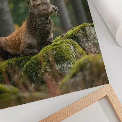 Impressão em tela retratando um majestoso veado em um cenário florestal