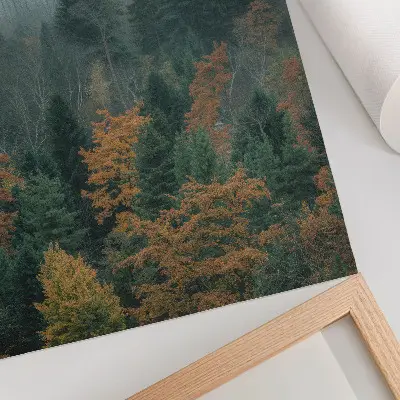 Impressão em tela árvores verdes com folhas alaranjadas na neblina