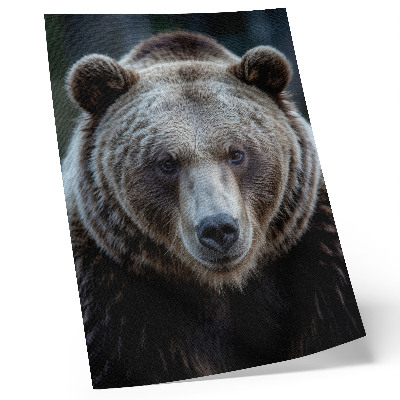 Impressão em tela Retrato realista de um urso, calmo e forte.