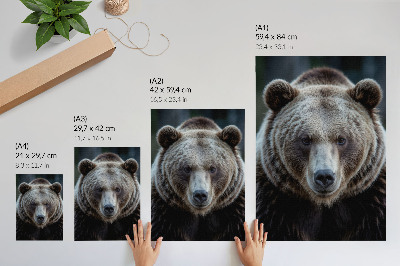 Impressão em tela Retrato realista de um urso, calmo e forte.