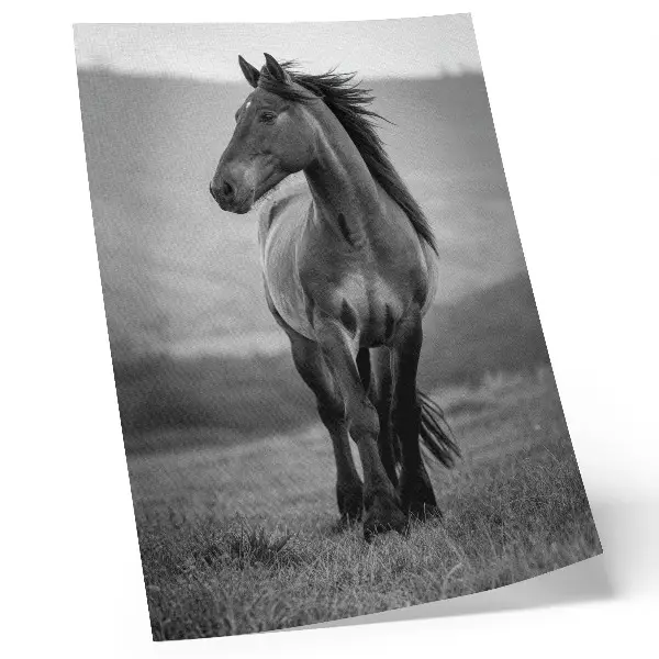 Arte de parede quadro de um cavalo encantador, cheio de energia e graça