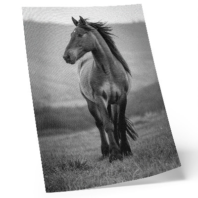 Arte de parede Um cavalo encantador, cheio de energia e graça.