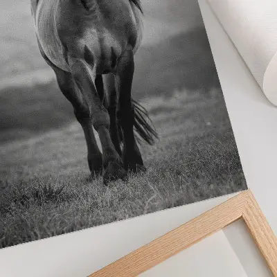 Arte de parede quadro de um cavalo encantador, cheio de energia e graça