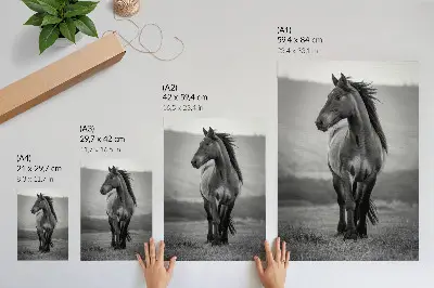 Arte de parede quadro de um cavalo encantador, cheio de energia e graça
