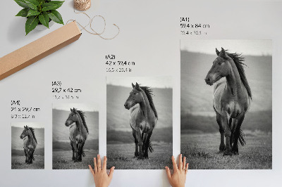 Arte de parede Um cavalo encantador, cheio de energia e graça.