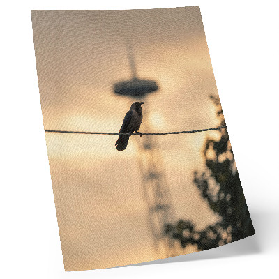 Poster para cozinha Pássaro em um fio, céu ao entardecer, fundo delicado.