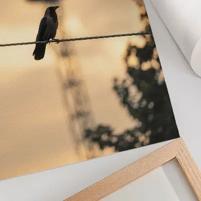 Poster para cozinha pássaros em um fio com céu ao entardecer em fundo delicado