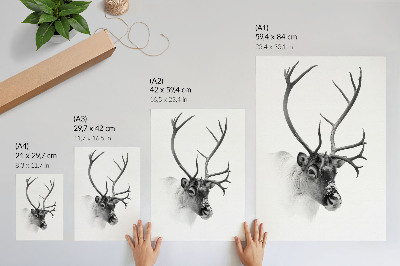 Poster para cozinha Contrastes em preto e branco de majestosas renas.