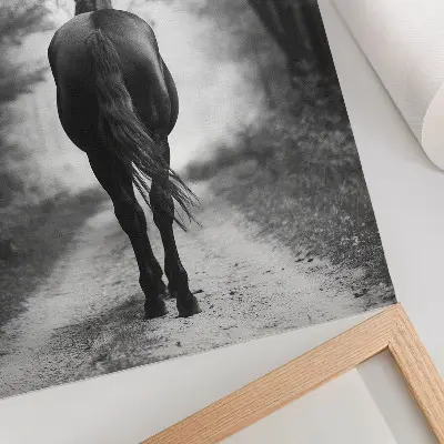 Poster decorativo fotografia de um cavalo em preto e branco na floresta