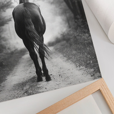 Poster decorativo Fotografia de um cavalo preto e branco na floresta