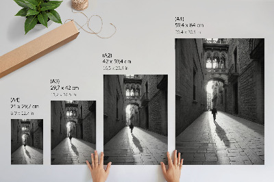 Poster decorativo Fotografia em preto e branco de uma rua com arquitetura.